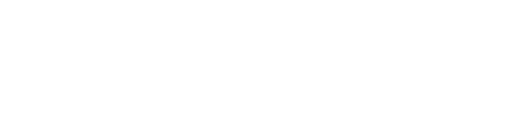 NVESSA